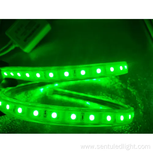 CE RoHS Certificate SMD5050 RGB Color Christmas Light